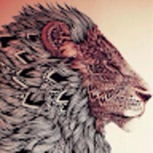 Meet your Posher, Garret